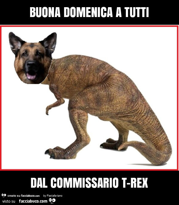 Buona domenica a tutti dal commissario t-rex