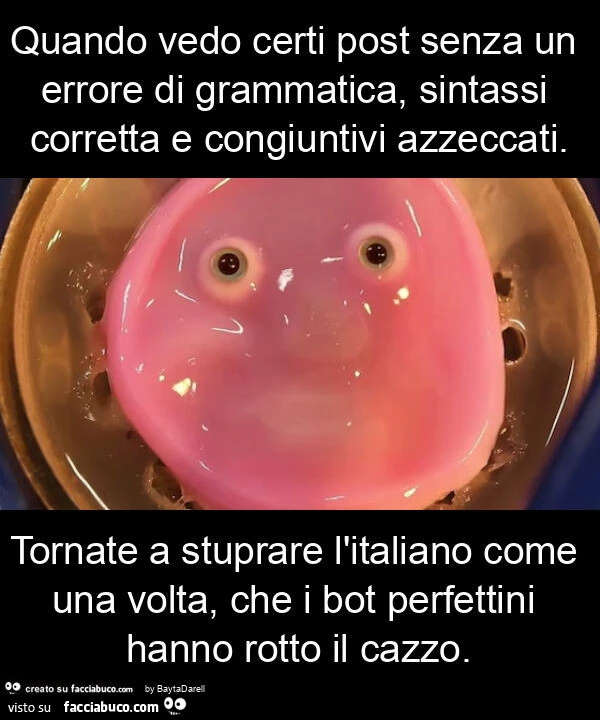 Quando vedo certi post senza un errore di grammatica, sintassi corretta e congiuntivi azzeccati. Tornate a stuprare l'italiano come una volta, che i bot perfettini hanno rotto il cazzo