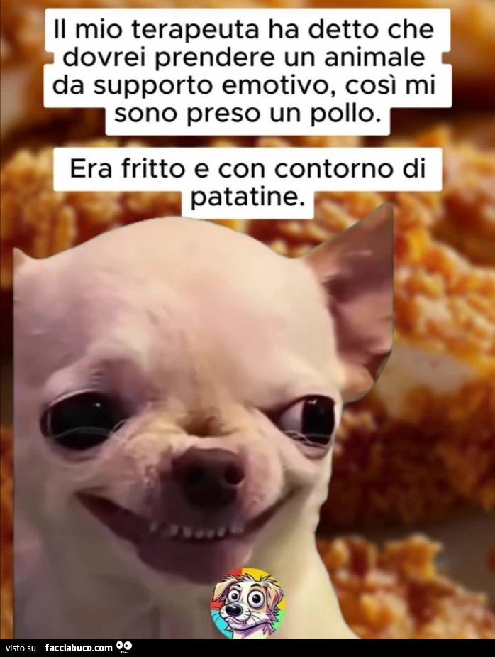 Vaccata