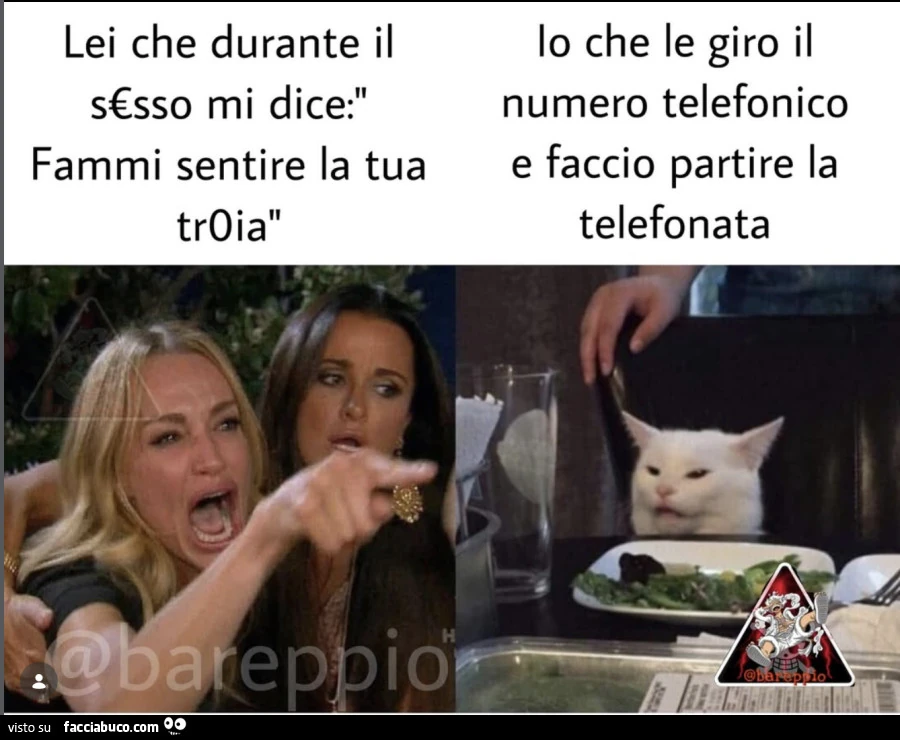 Vaccata