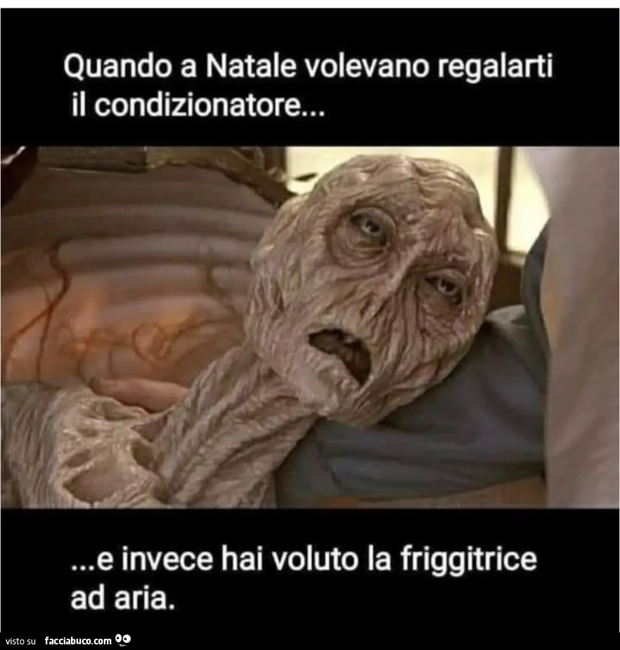 Quando a Natale volevano regalarti il condizionatore e invece hai voluto la friggitrice ad aria