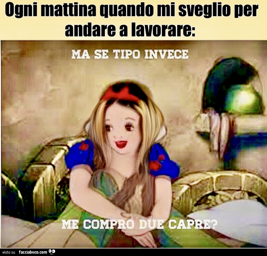 Vaccata