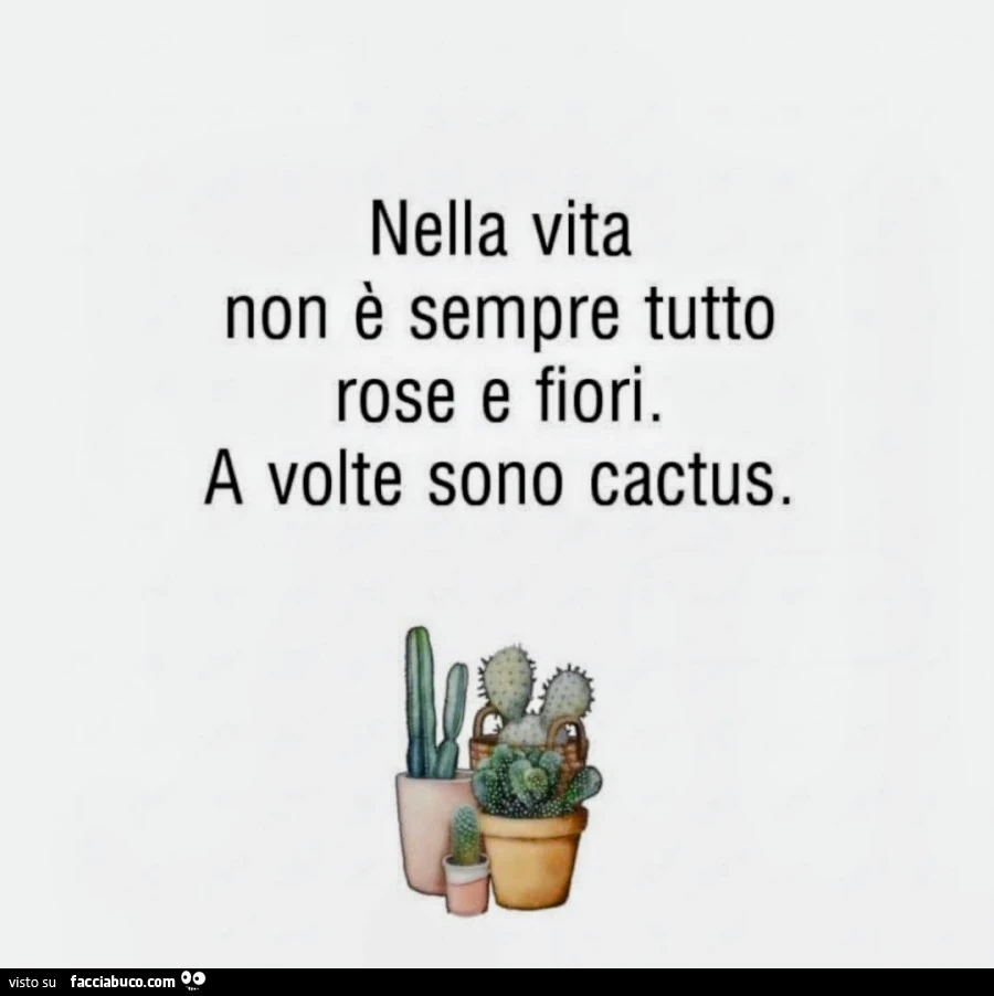 Cactus