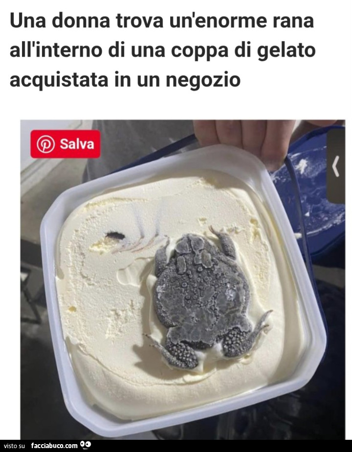 Vaccata