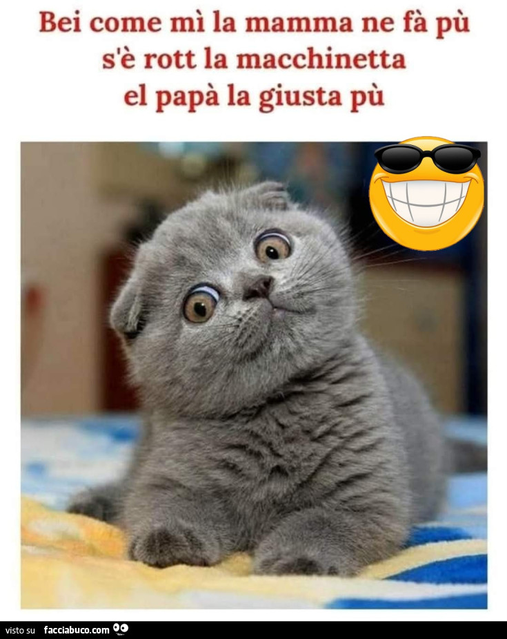 Vaccata