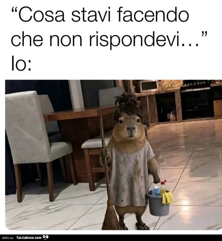 Vaccata