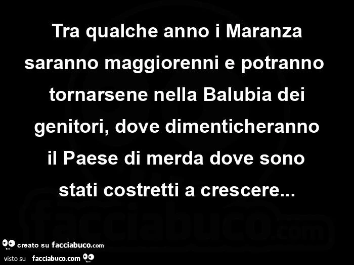 Tra qualche anno i maranza saranno maggiorenni e potranno tornarsene nella balubia dei genitori, dove dimenticheranno il paese di merda dove sono stati costretti a crescere