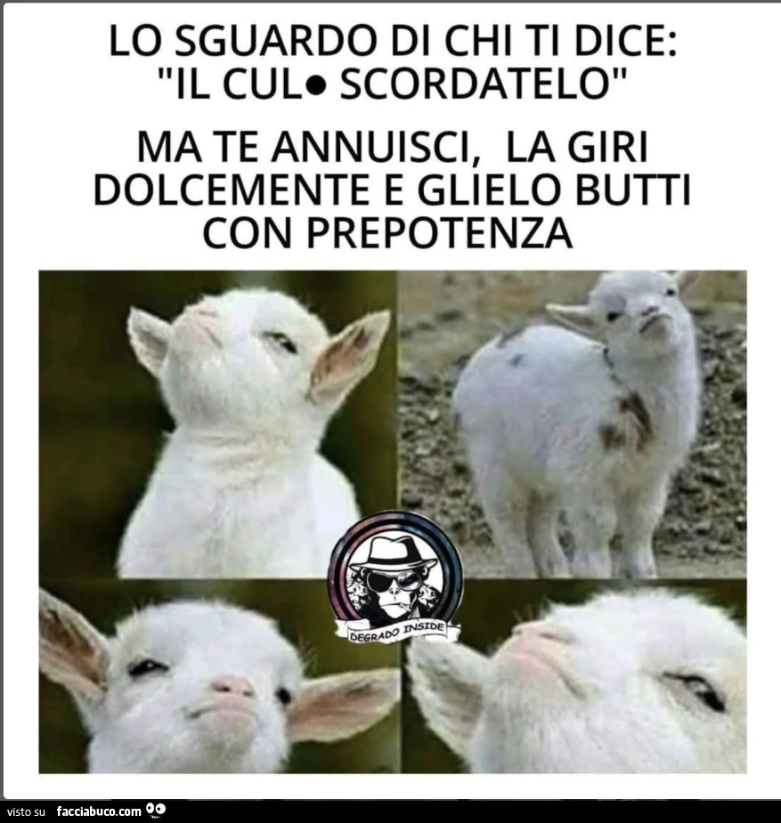 Vaccata