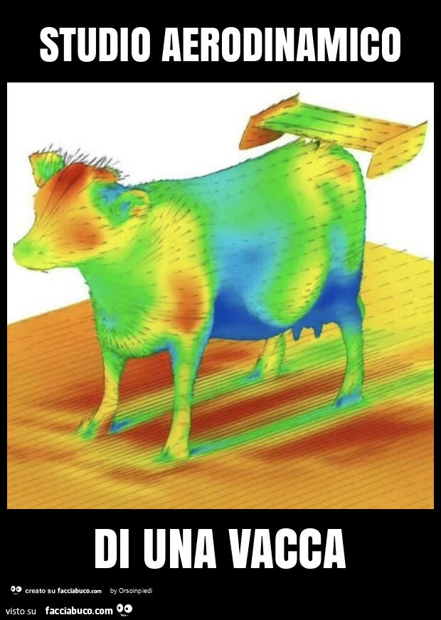 Studio aerodinamico di una vacca