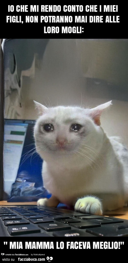 Io che mi rendo conto che i miei figli, non potranno mai dire alle loro mogli: " mia mamma lo faceva meglio! "