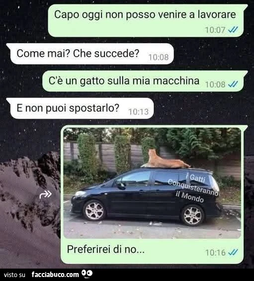 Vaccata