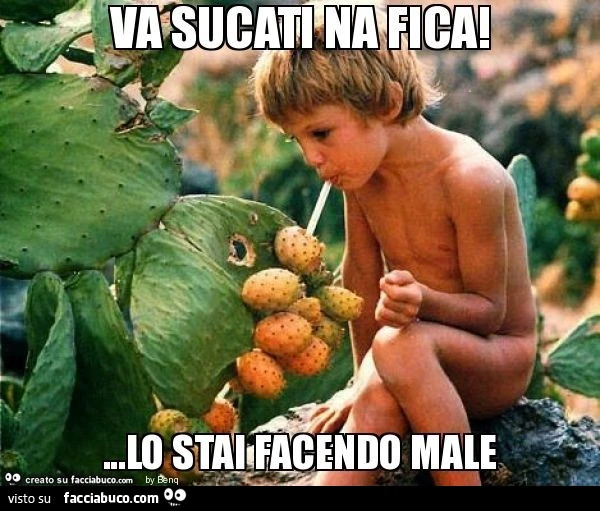 Vaccata