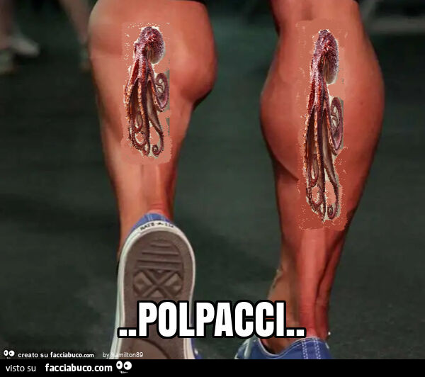 Polpacci