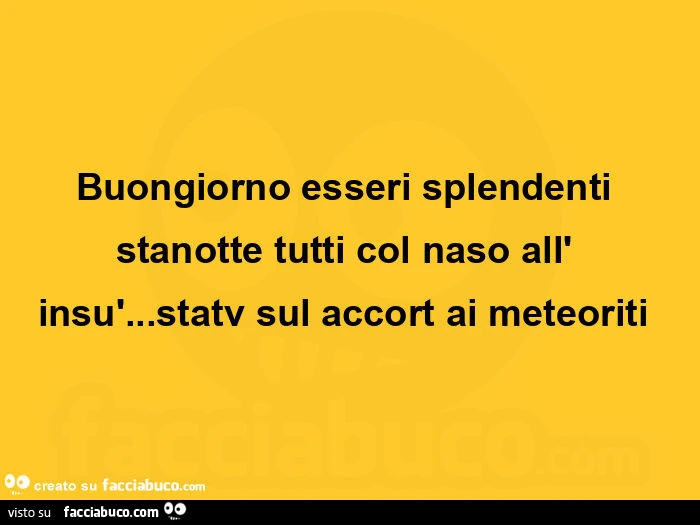Buongiorno esseri splendenti stanotte tutti col naso all' insù&hellip; statv sul accort ai meteoriti 