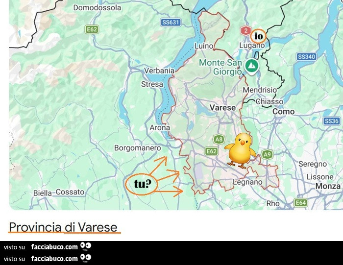 Vaccata