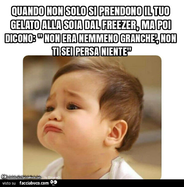 Quando non solo si prendono il tuo gelato alla soia dal freezer, ma poi dicono: " non era nemmeno granchè, non ti sei persa niente"