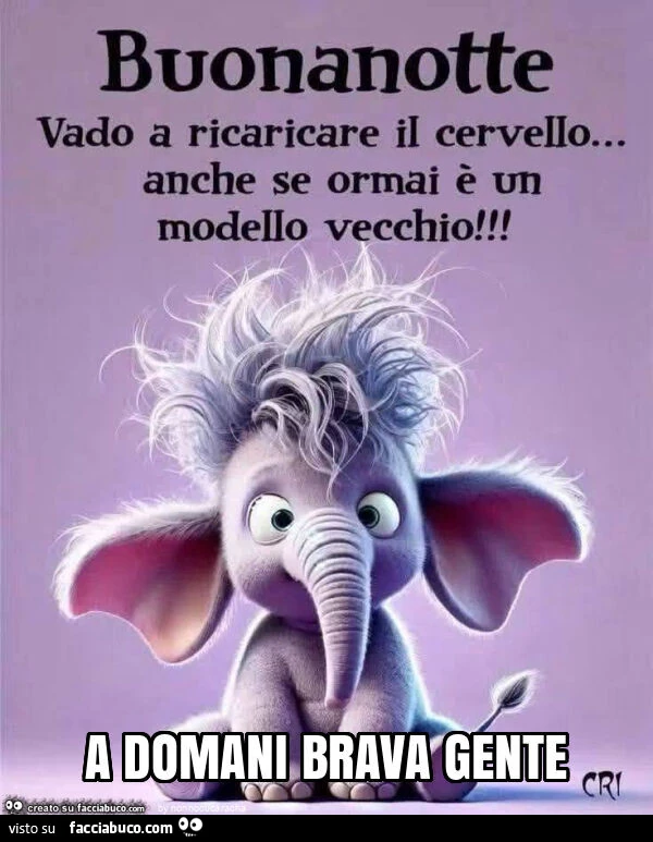 A domani brava gente