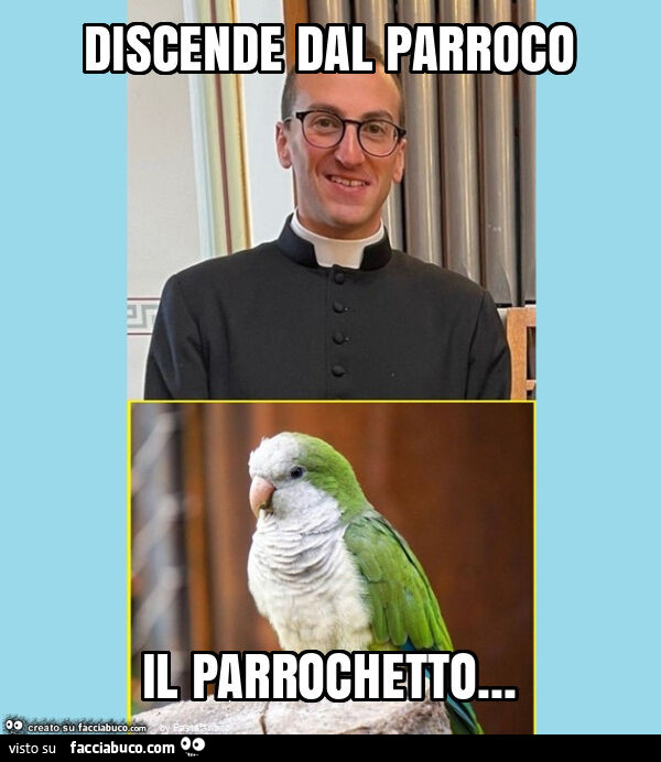 Discende dal parroco il parrochetto