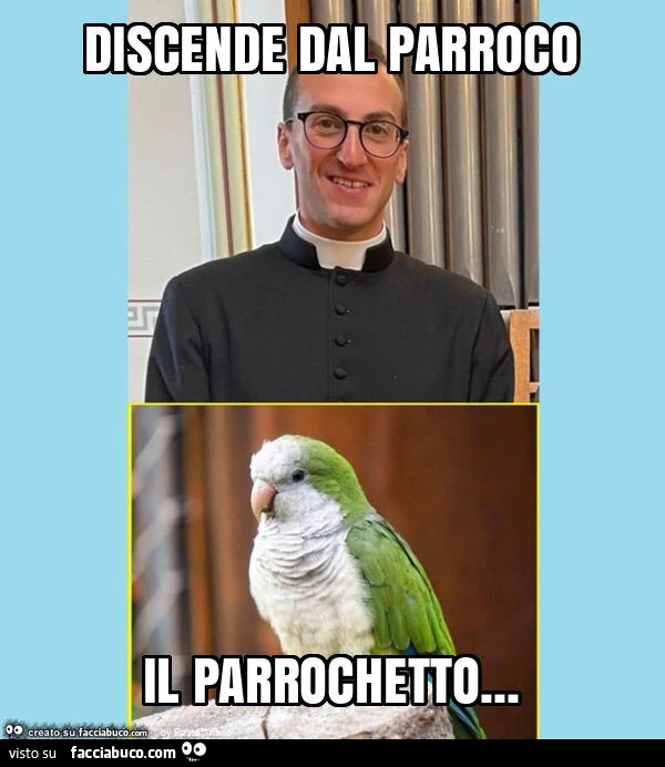 Discende dal parroco il parrochetto