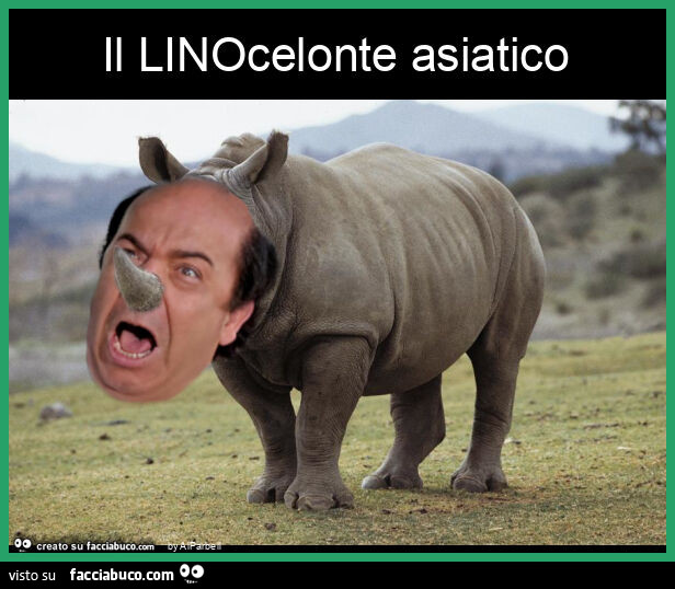 Il linocelonte asiatico