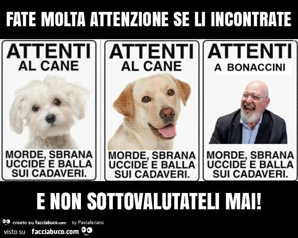Fate molta attenzione se li incontrate e non sottovalutateli mai