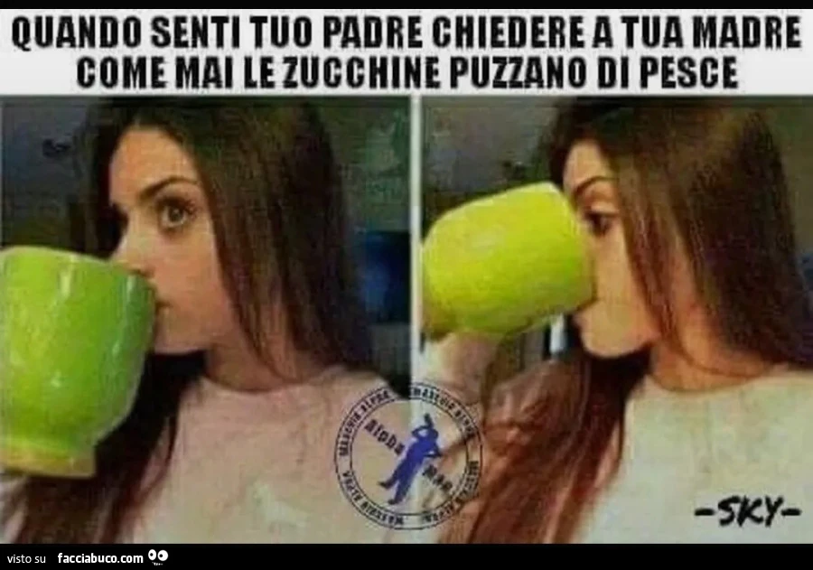 Le zucchine