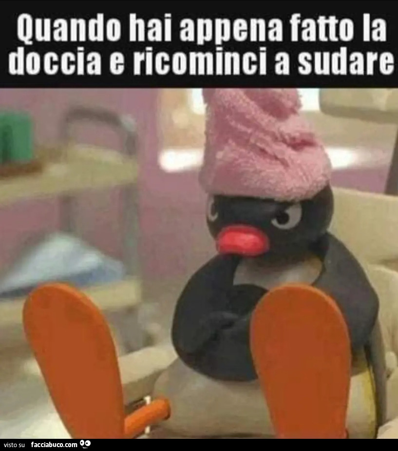 Doccia