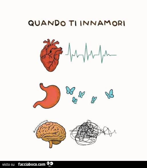 Quando ti innamori