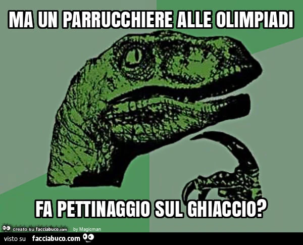 Ma un parrucchiere alle olimpiadi fa pettinaggio sul ghiaccio?
