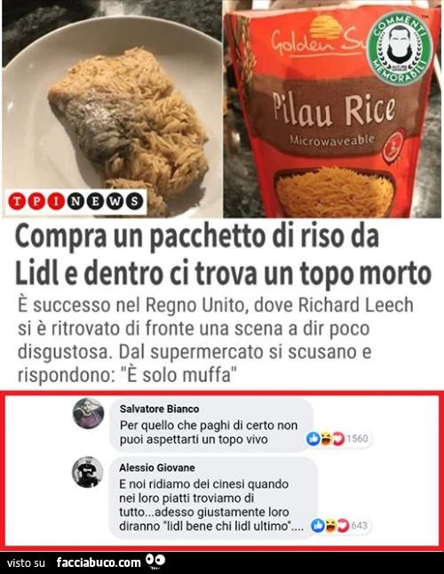 Vaccata