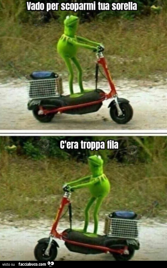 Vaccata