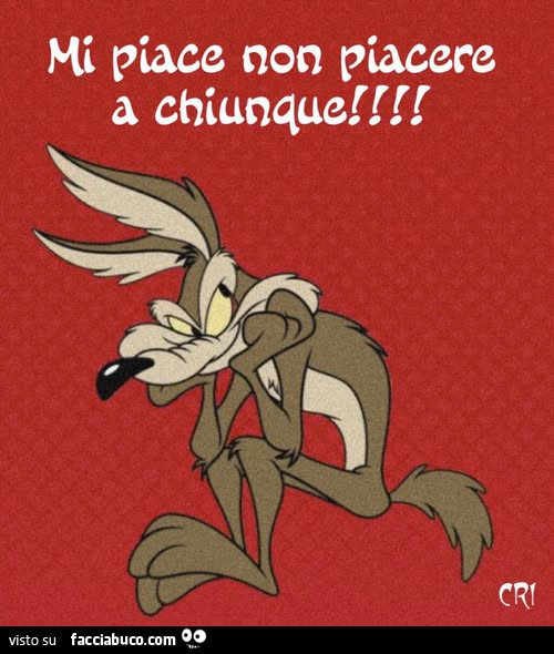 Mi piace non piacere a chiunque