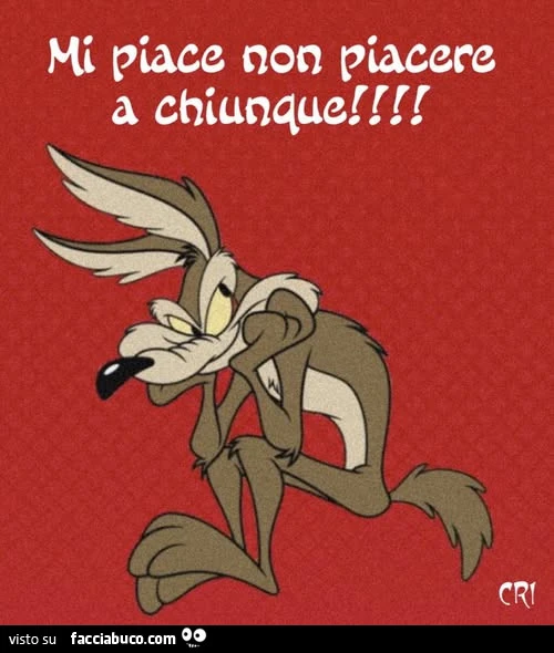 Mi piace non piacere a chiunque