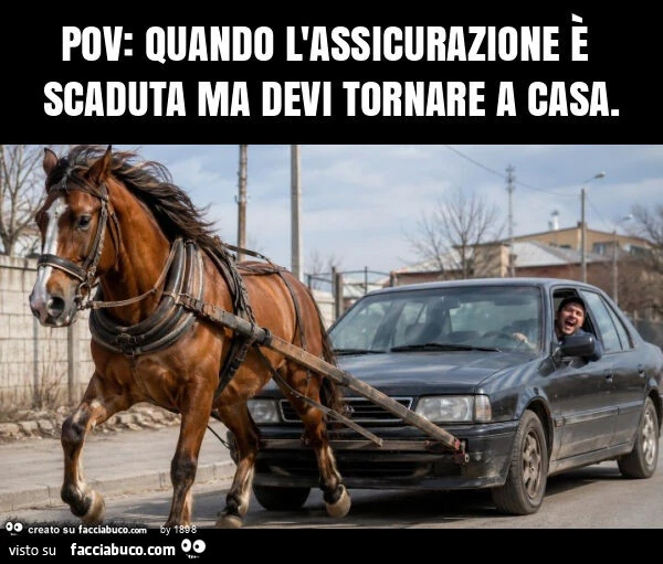 Pov: quando l'assicurazione è scaduta ma devi tornare a casa