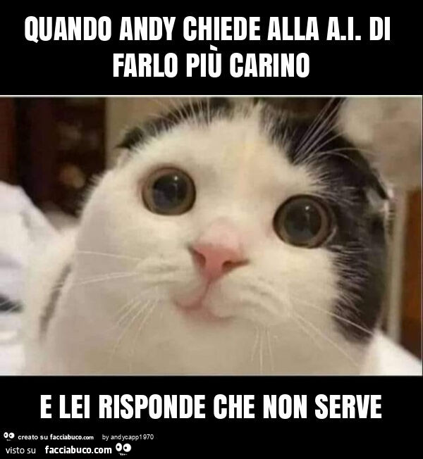 Quando andy chiede alla a. I. Di farlo più carino e lei risponde che non serve