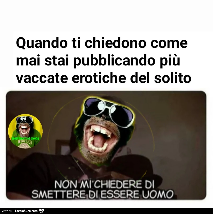 Quando ti chiedono come mai stai pubblicando più vaccate erotiche