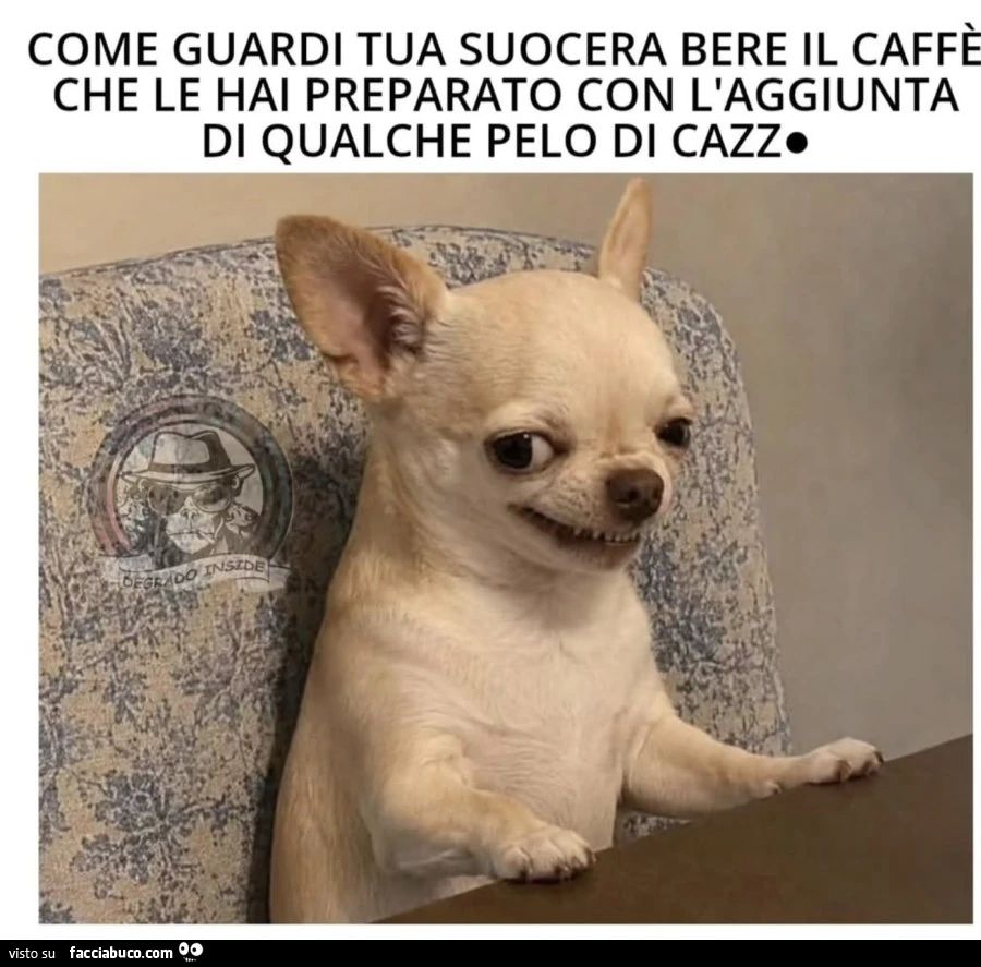 Vaccata