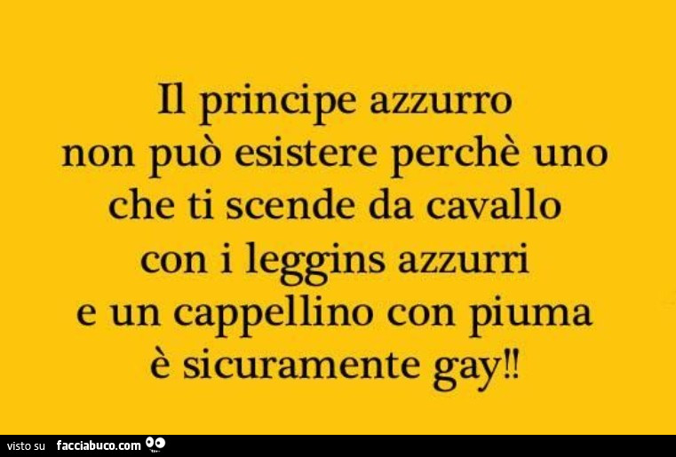 Il principe azzurro non può esistere perchè uno che ti scende da cavallo con i leggins azzurri e un cappellino con piuma è sicuramente gay