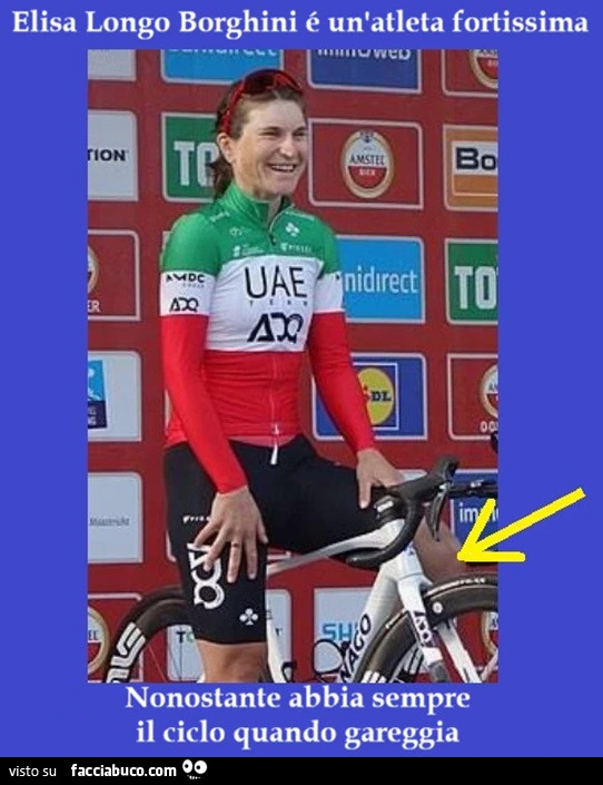Elisa Longo Borghini, ciclo