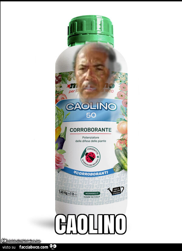 Caolino