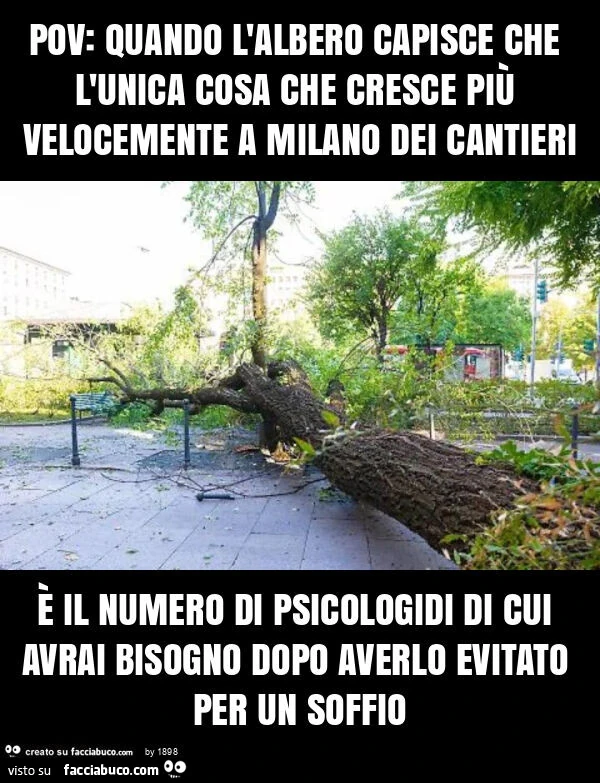Pov: quando l'albero capisce che l'unica cosa che cresce più velocemente a milano dei cantieri è il numero di psicologidi di cui avrai bisogno dopo averlo evitato per un soffio