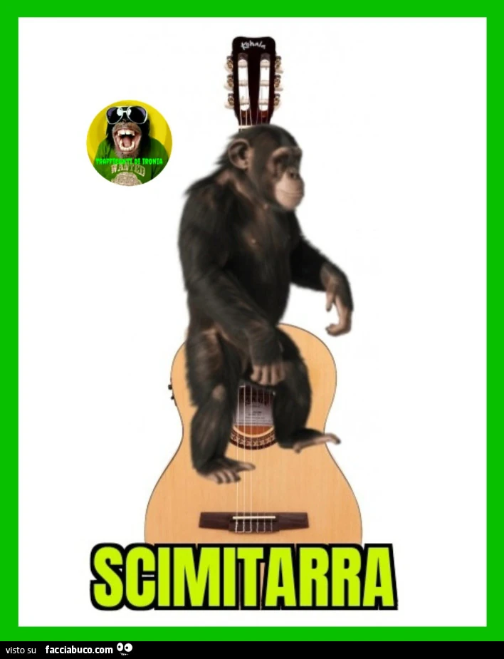 Scimitarra
