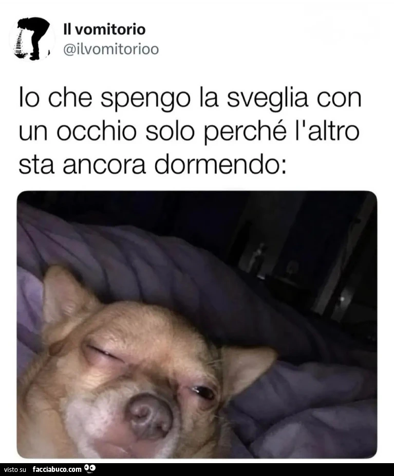 Lo che spengo la sveglia con un occhio solo perché l'altro sta ancora dormendo