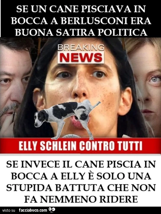 Elly Schlein, satira politica, intransigenza di sinistra