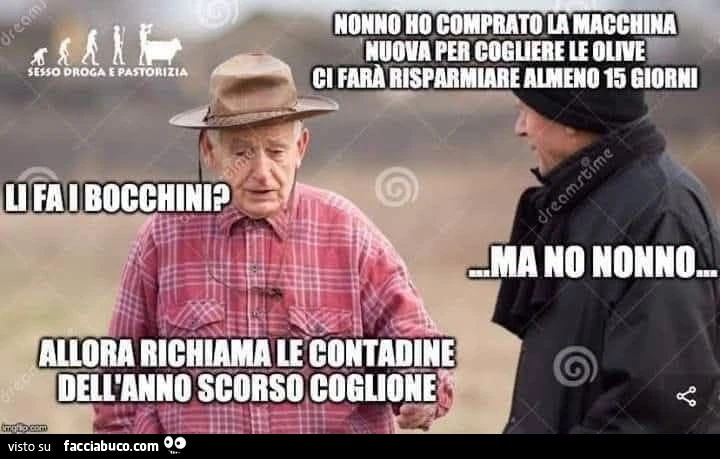 Vaccata