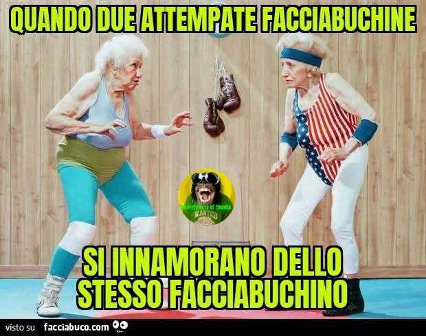 Quando due attempate facciabuchine si innamorano dello stesso facciabuchino