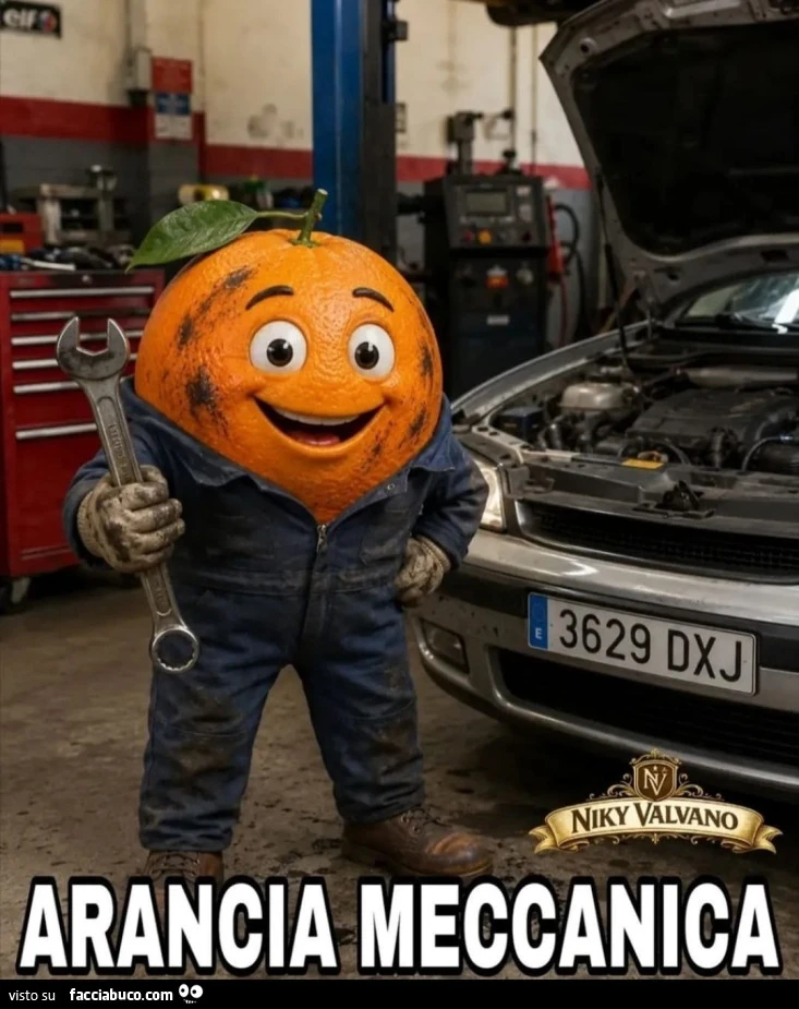 Vaccata