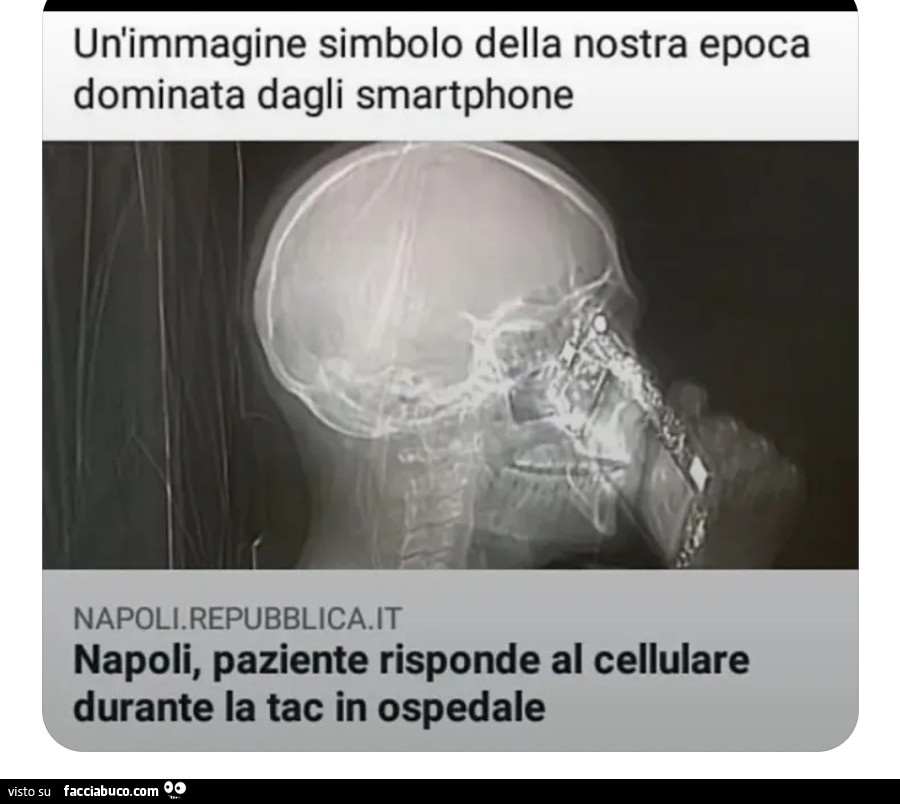 Vaccata