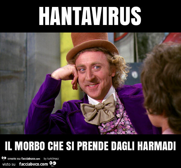 Hantavirus il morbo che si prende dagli harmadi