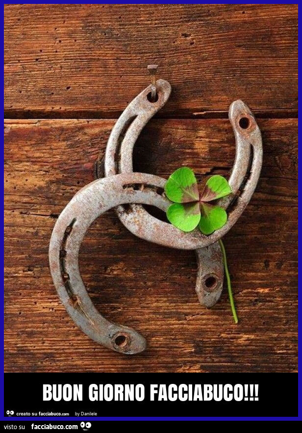 Buon giorno facciabuco